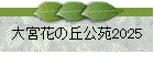 ֤ܲεָ2025