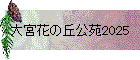 ֤ܲεָ2025