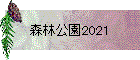 Ӹ2021